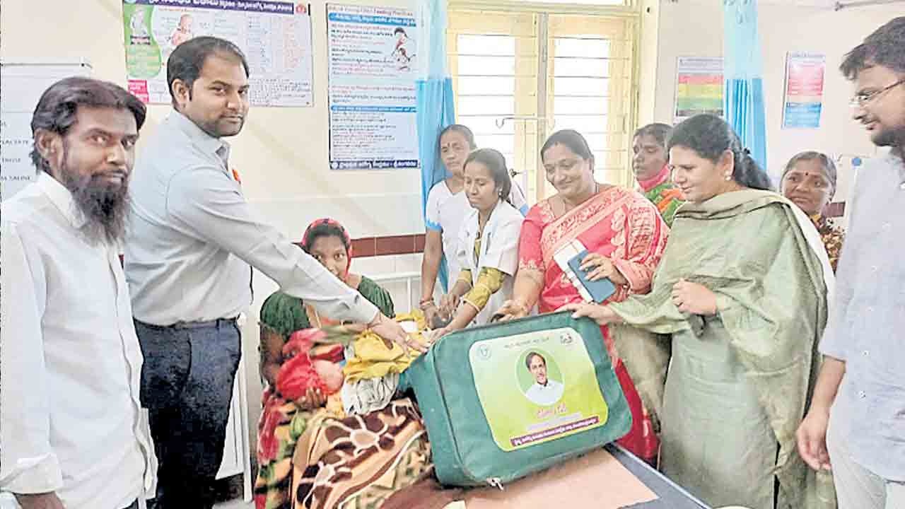 సర్కారులో సాధారణ ప్రసవాలు