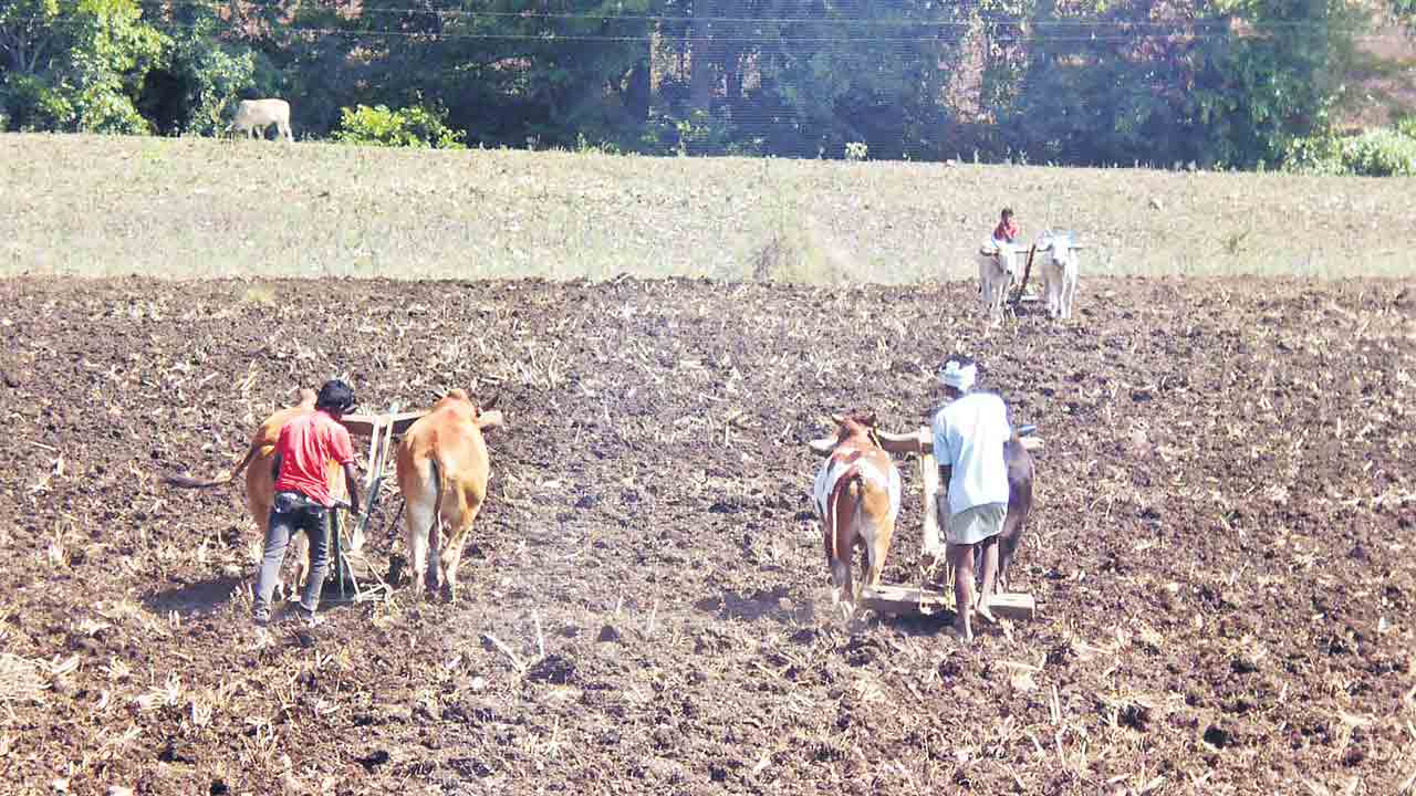 పోడు రైతులకు.. త్వరలో పట్టాలు