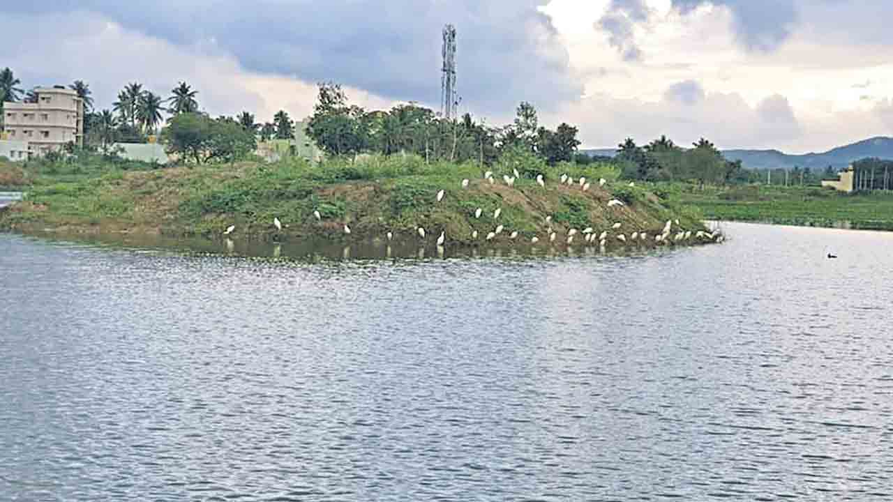 ఒకనారి.. జలభేరి!