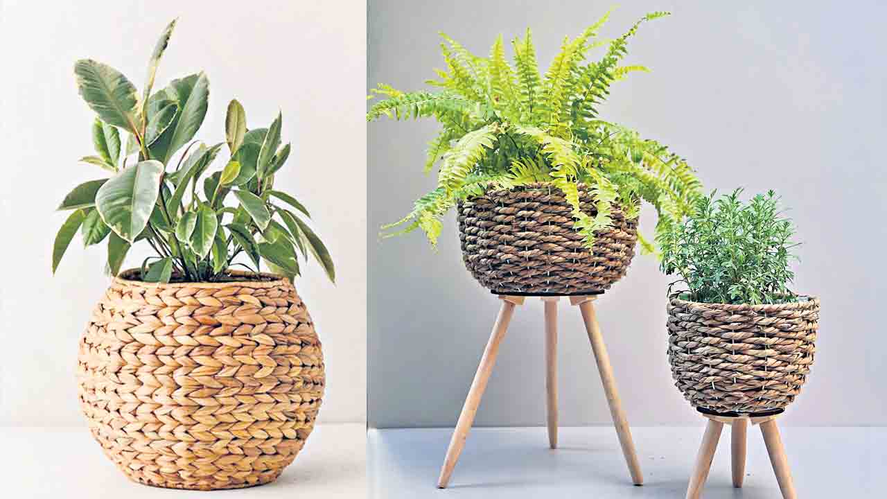 ఇంటికి అందమైన అల్లిక!