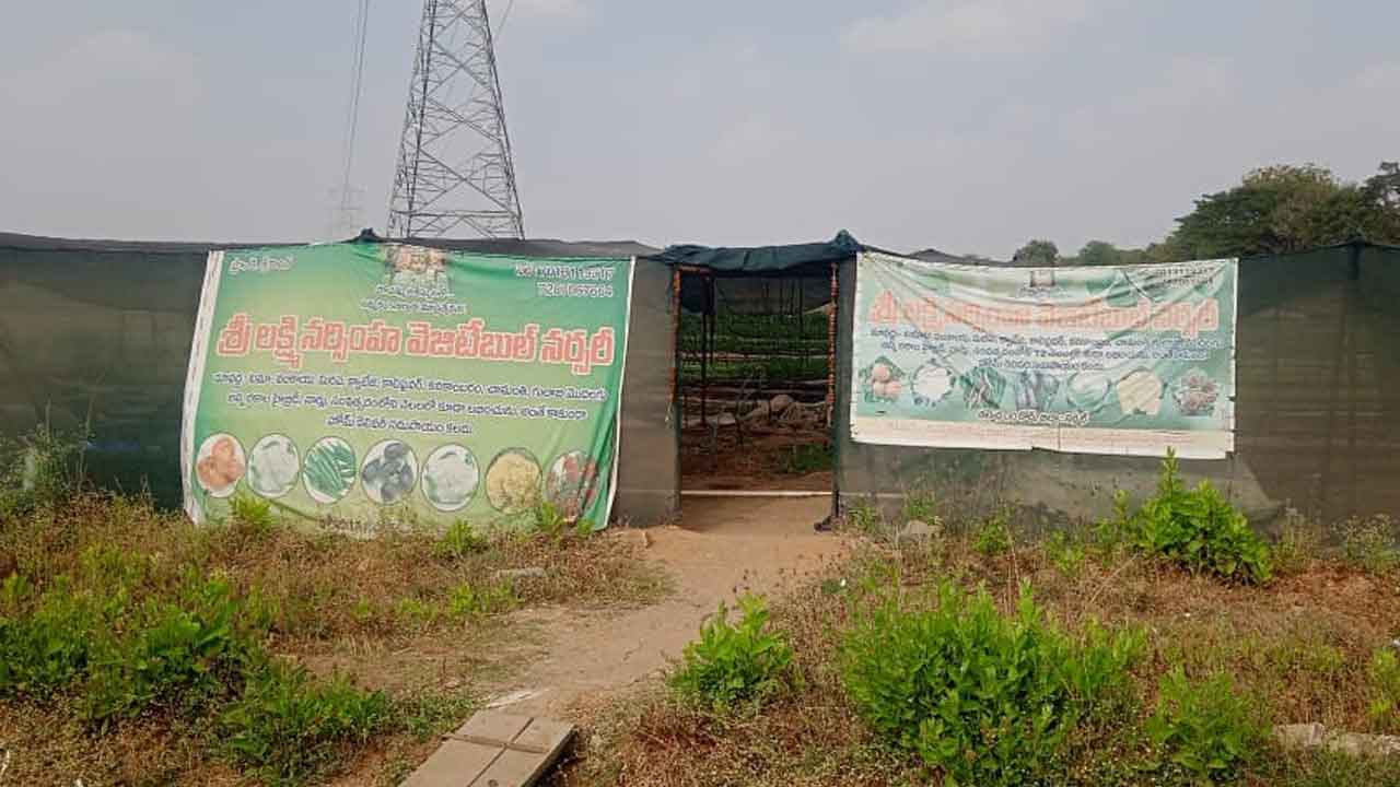 నర్సరీ.. భలే ఉపాధి