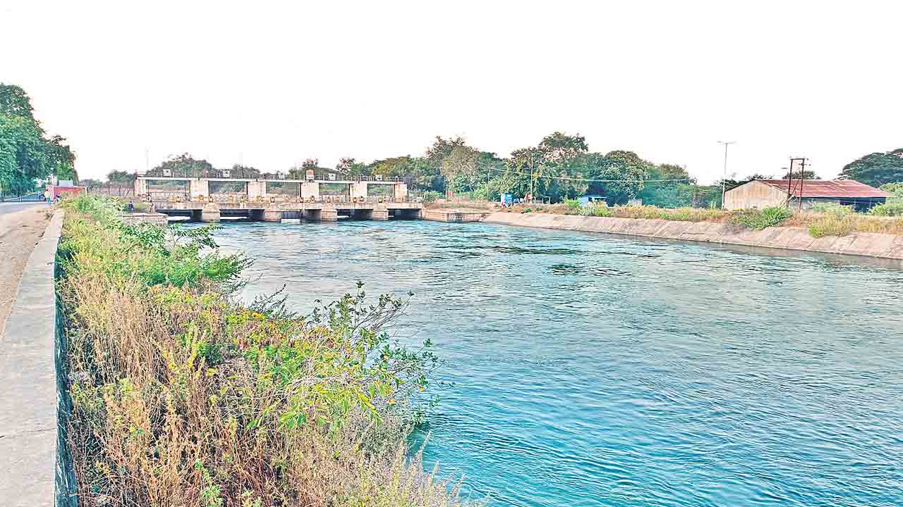 ఆయకట్టు.. మురిపేట్టు