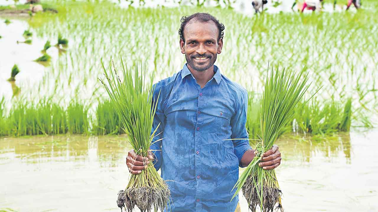 ఒక్క పూర్తిస్థాయి నీడతో..