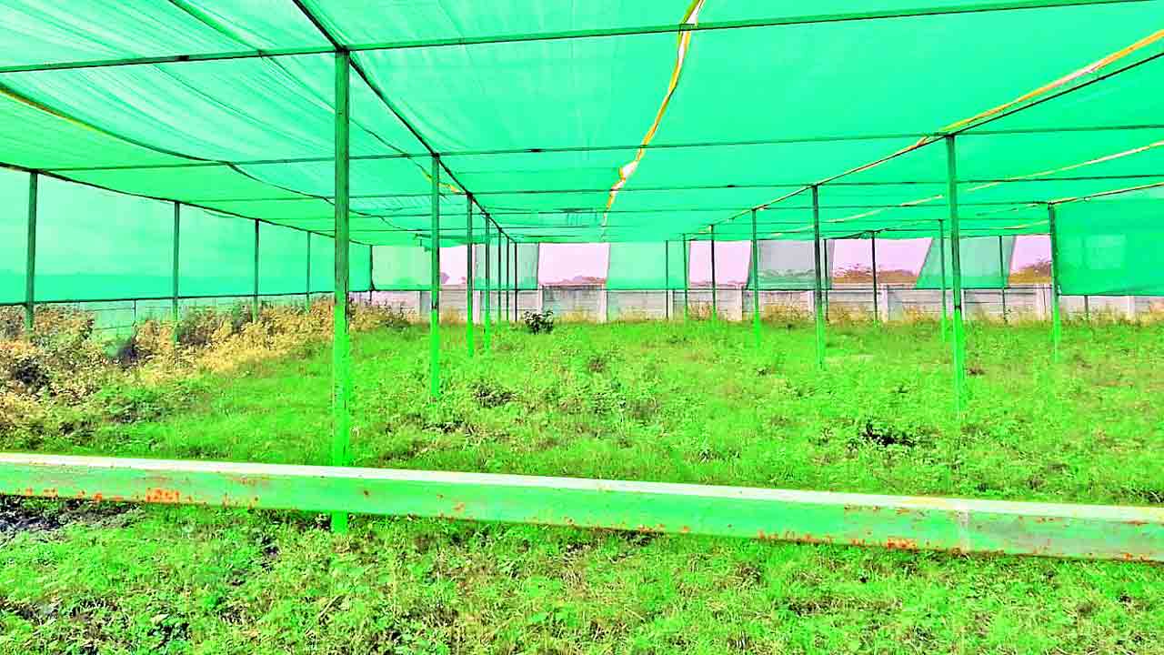 మూడు డివిజన్లకు ఒక నర్సరీ