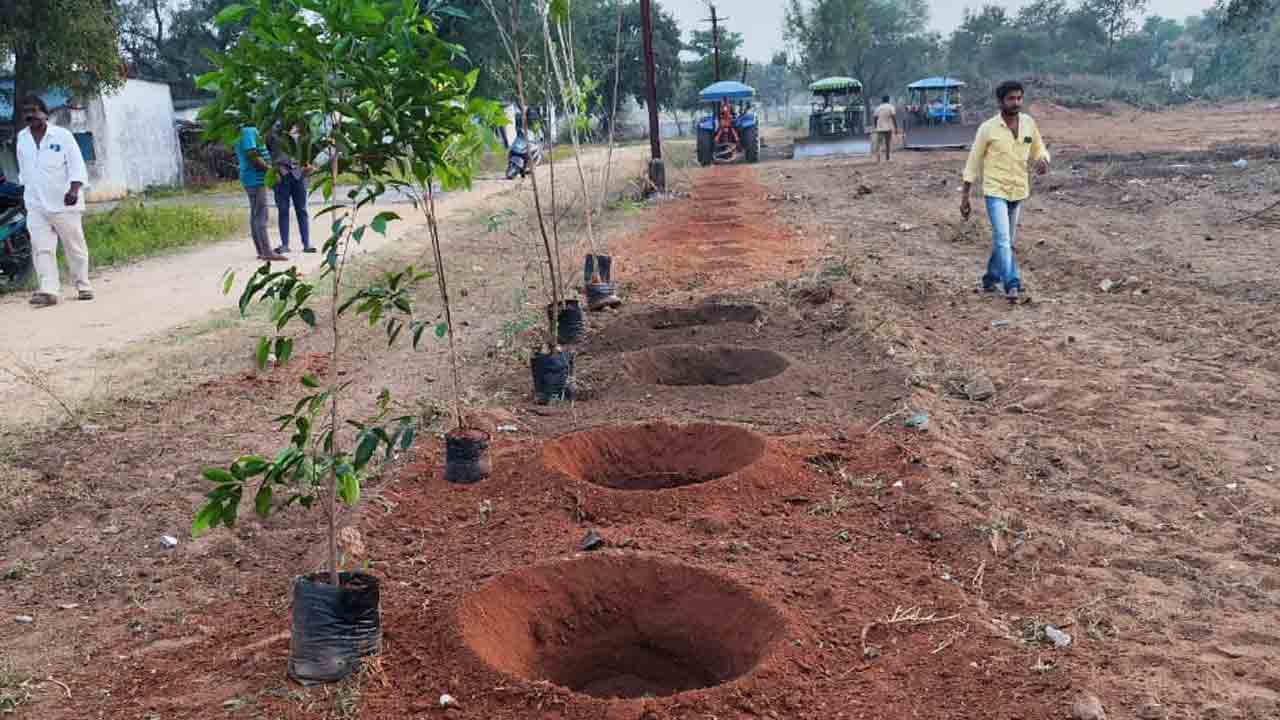 ఒకే రోజు లక్ష మొక్కలు