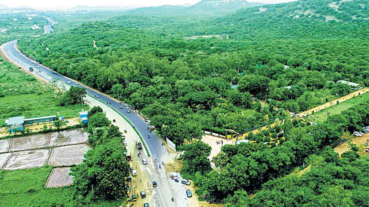 మొక్కవోని సంకల్పం.. తెలంగాణ హరితహారానికి పార్లమెంటు ప్రశంస