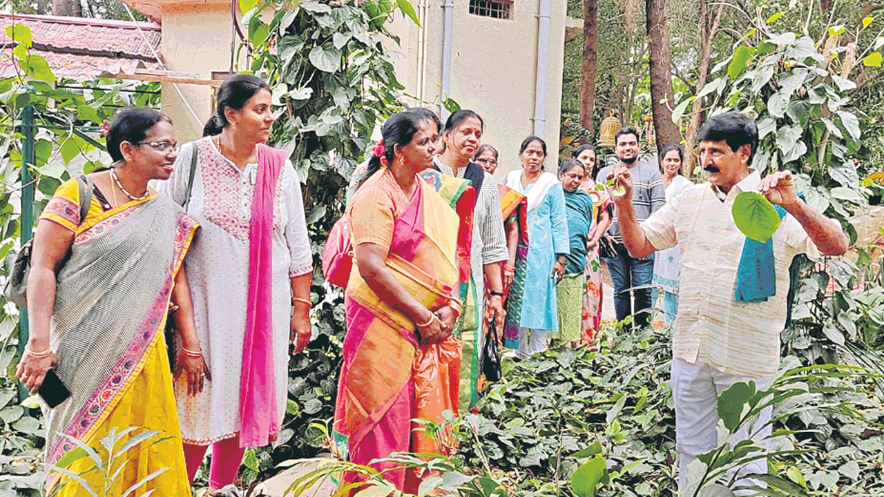 విద్యార్థుల పొలం బాట