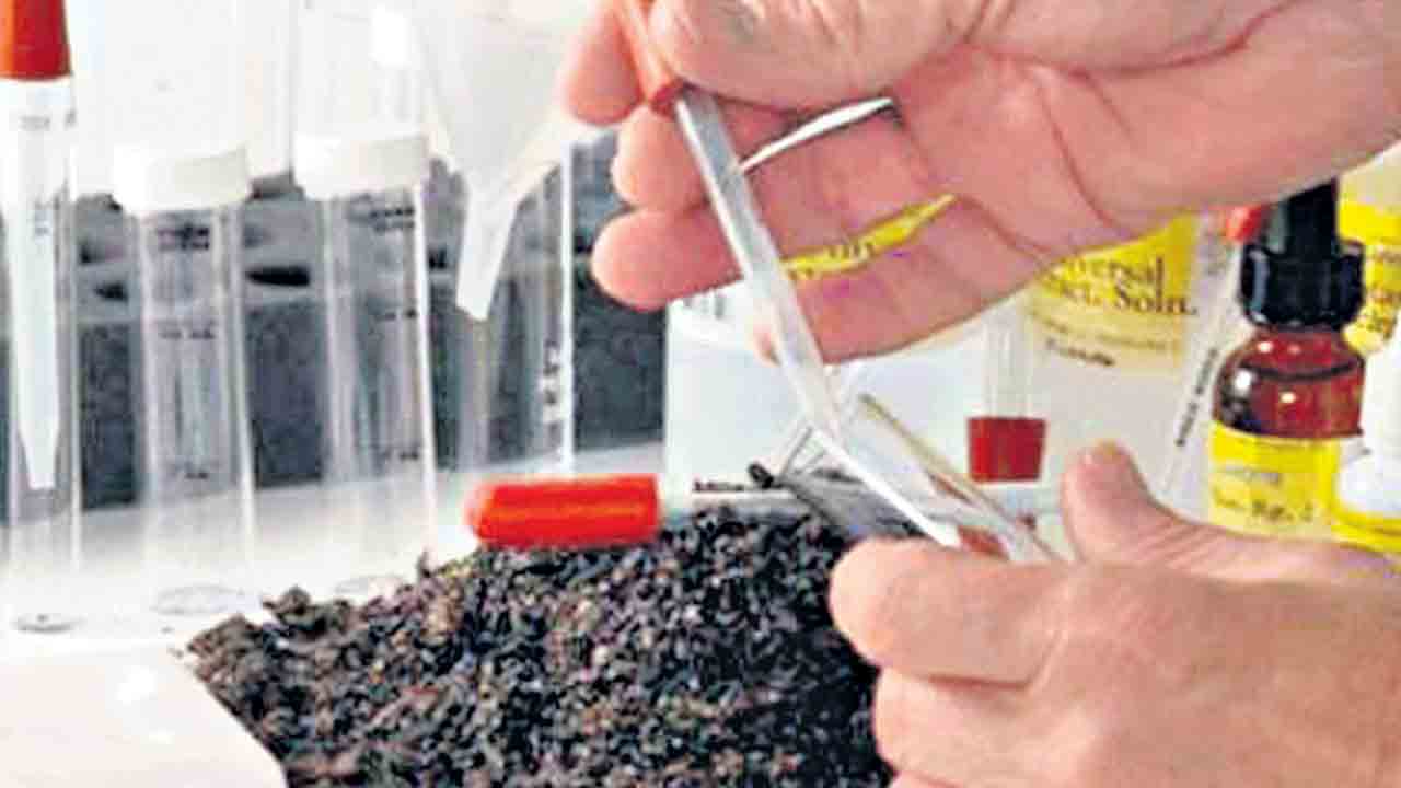 భూసార పరీక్ష.. పంటకు రక్ష..