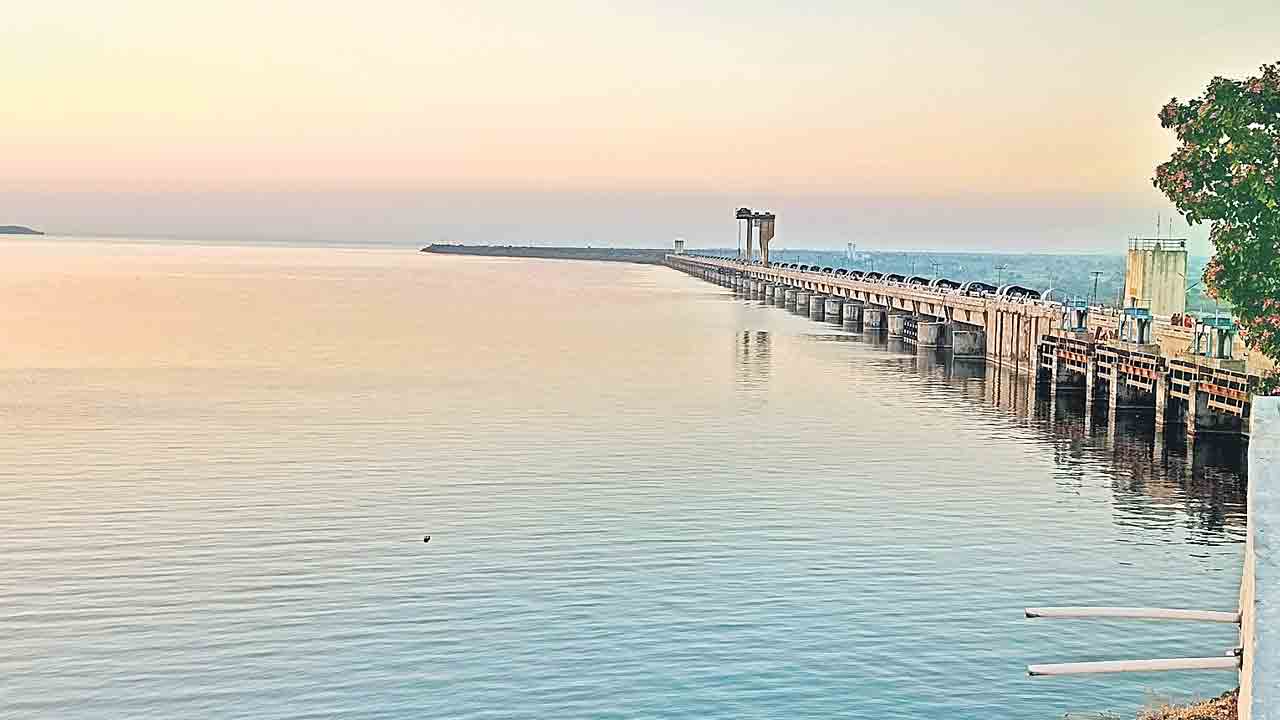 యాసంగి పంటలకు