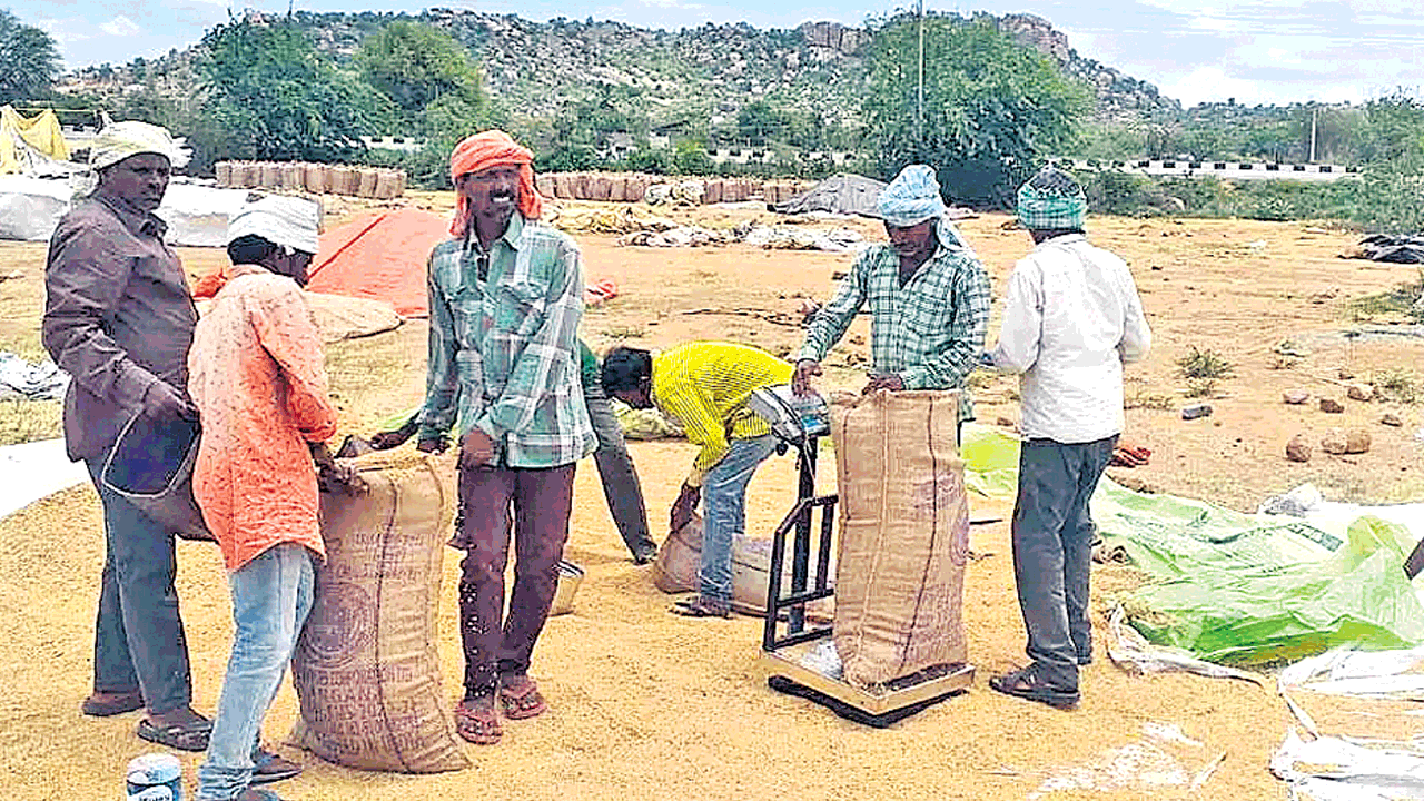 ధాన్యం కొనుగోళ్లు రూ.22.26 కోట్లు చెల్లింపు