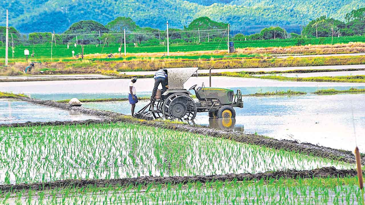 పండుగలా వ్యవసాయం..