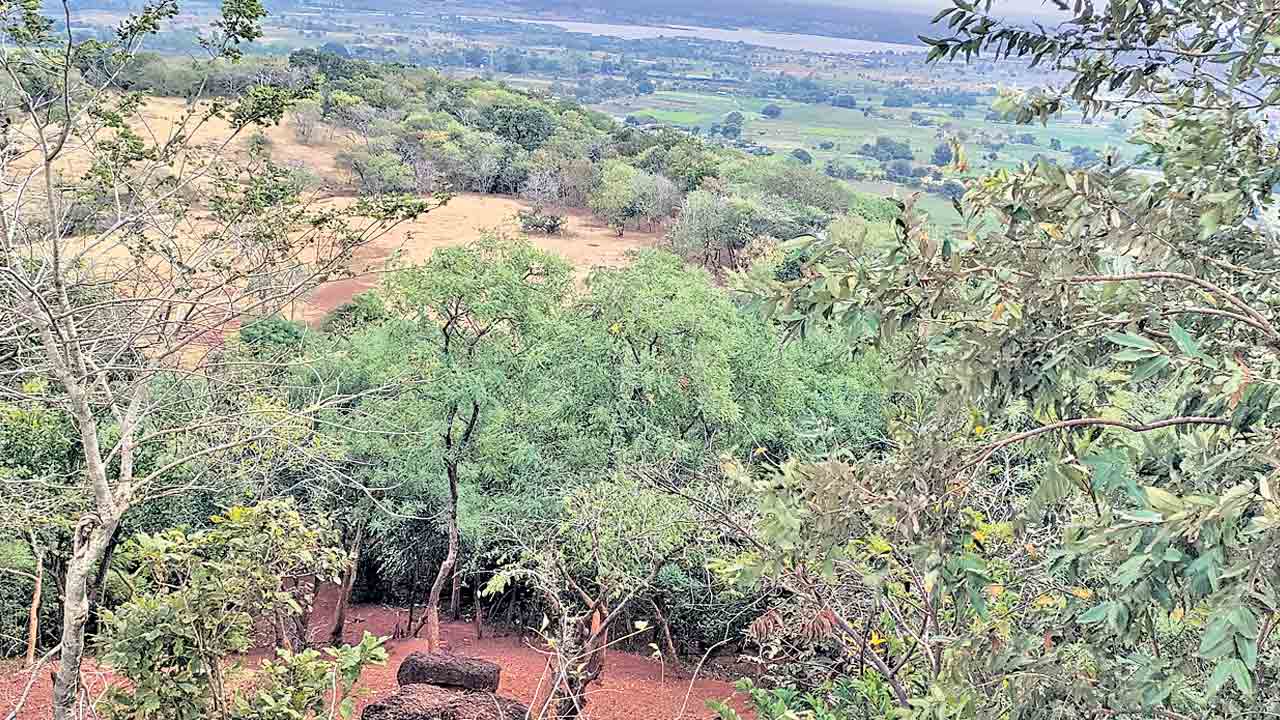 అడవి పై అప్రమత్తం