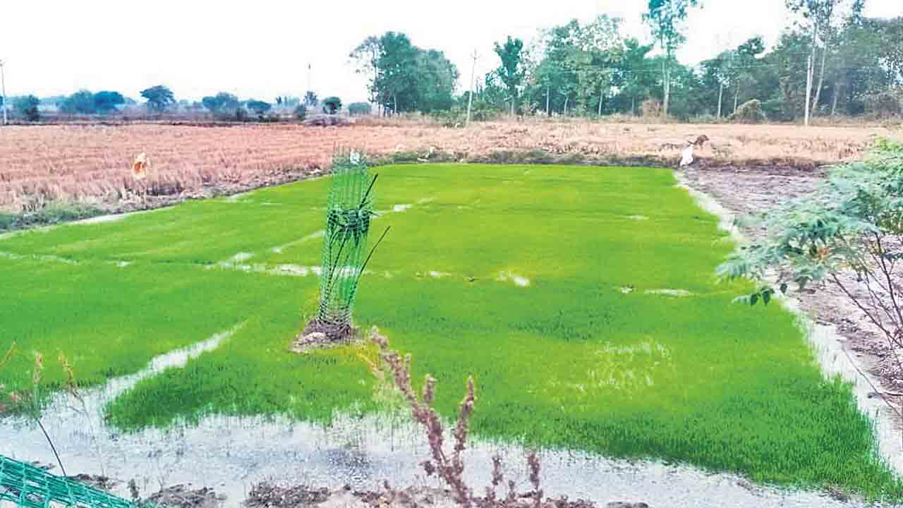 ‘బై బ్యాక్‌’తో జాగ్రత్త..