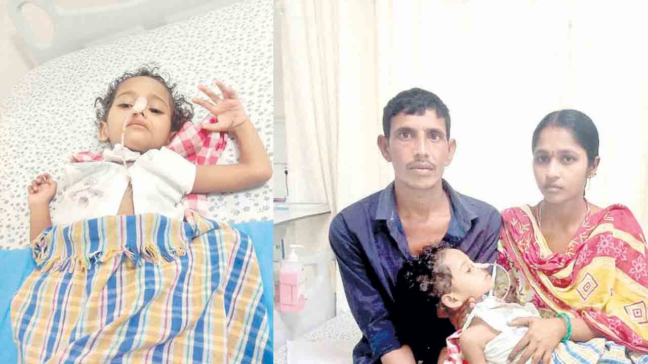 ‘పాప’కు ప్రాణభిక్ష పెట్టండి