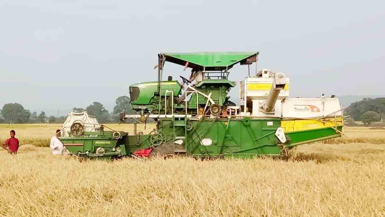 జోరుగా సాగుతున్న వరికోతలు