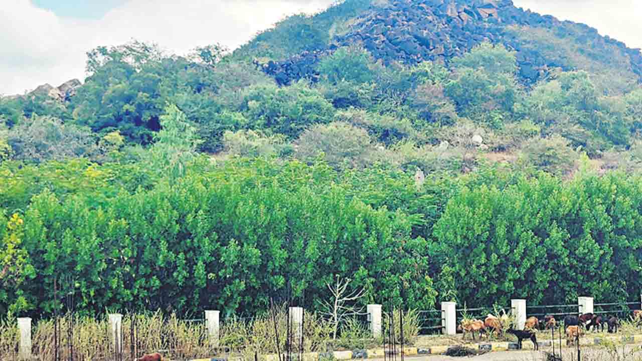 ఆహ్లదం.. ఆదర్శం