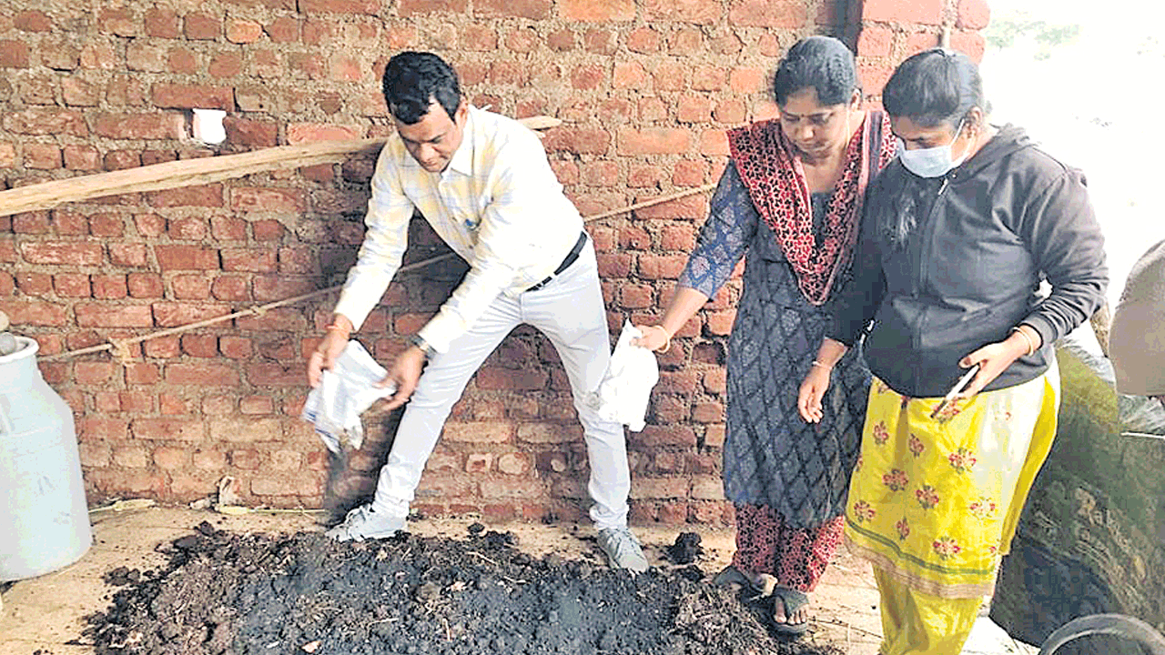 భాస్వరాన్ని కరిగించే బ్యాక్టీరియాతో భలే లాభం