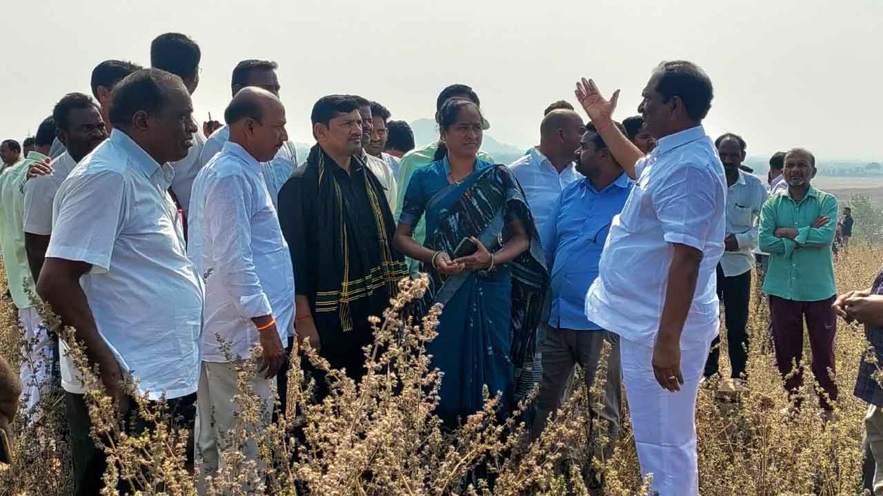 కోటిలింగాలకు కొత్త శోభ తెస్తాం