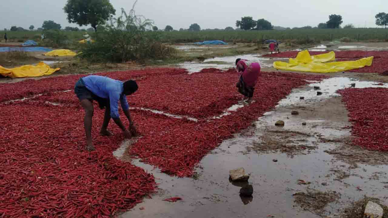 వణికిస్తున్న మాండస్‌