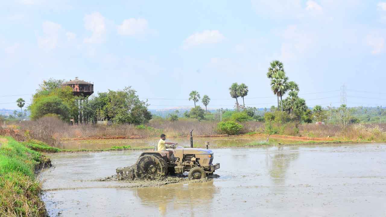 మునుం పట్టిన రైతుబంధు