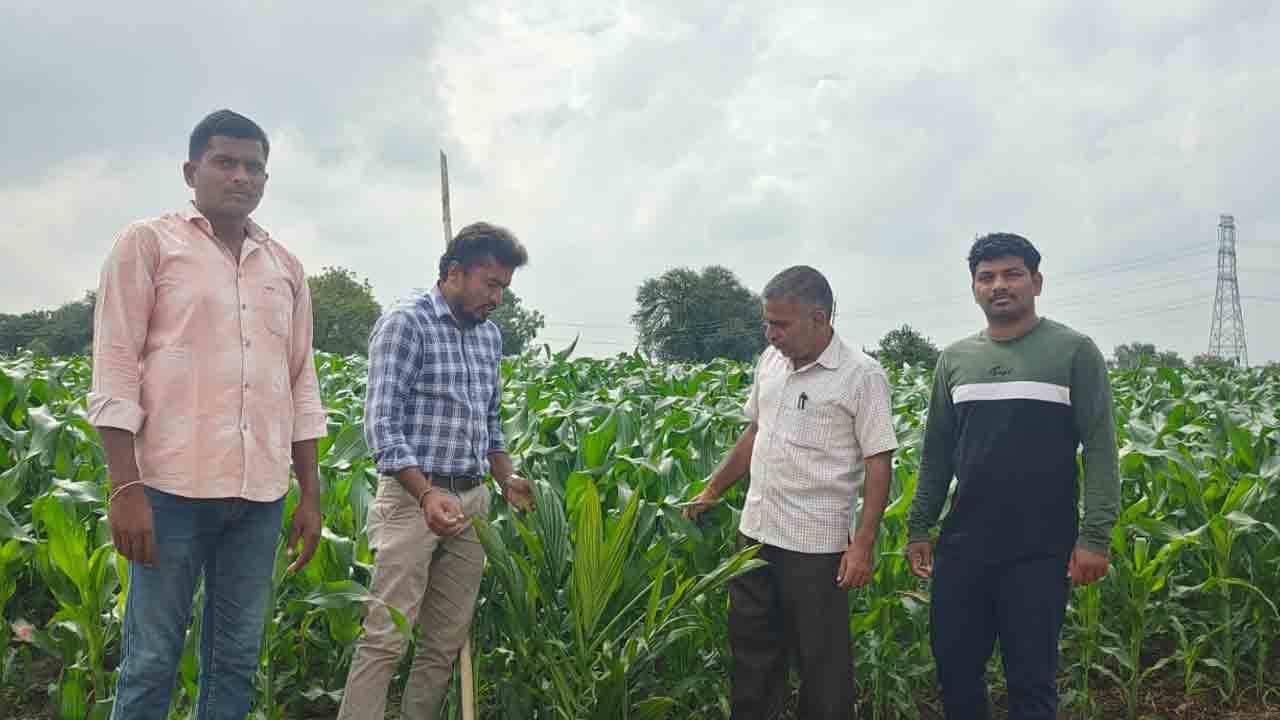 ఆయిల్పాం సాగుపై దృష్టి సారించాలి