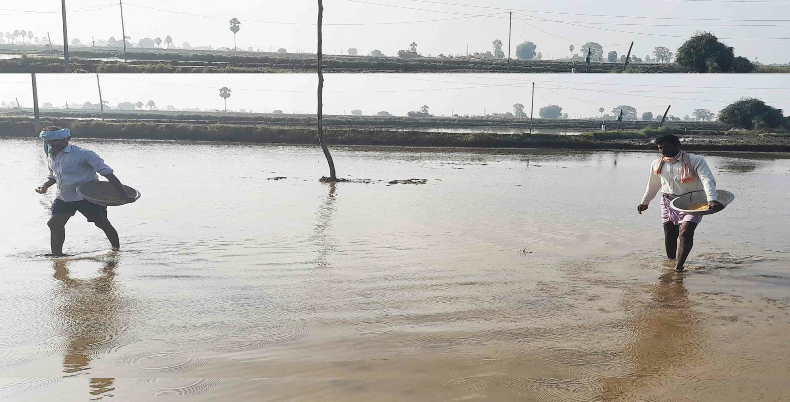 తొమ్మిది సీజన్లు.. 9,294 కోట్లు