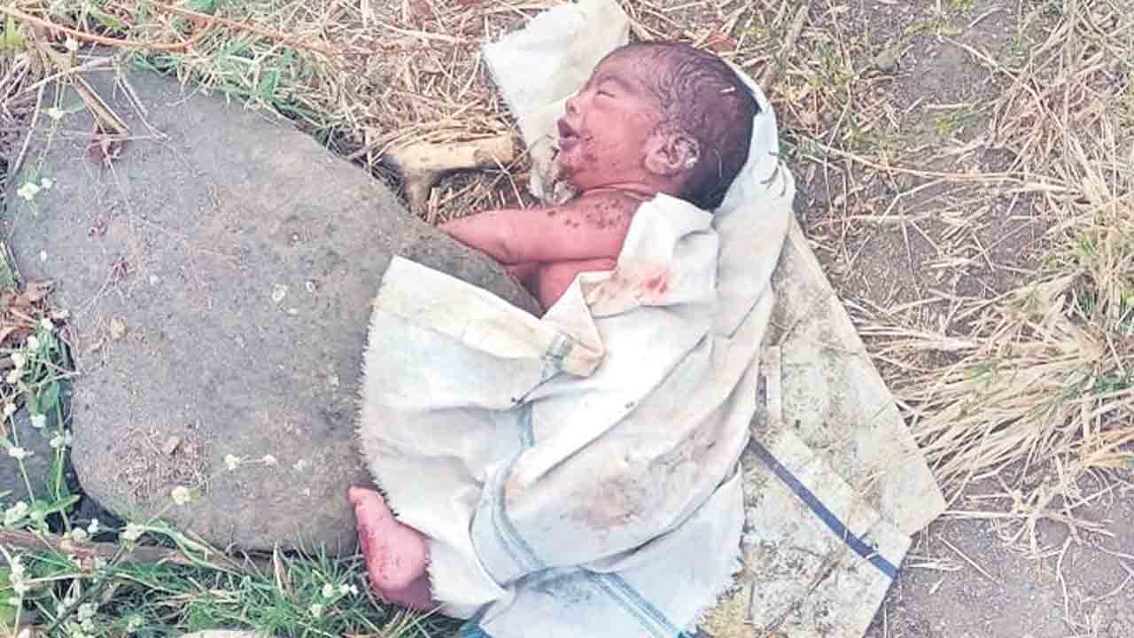 అయ్యో ‘పాపం’!