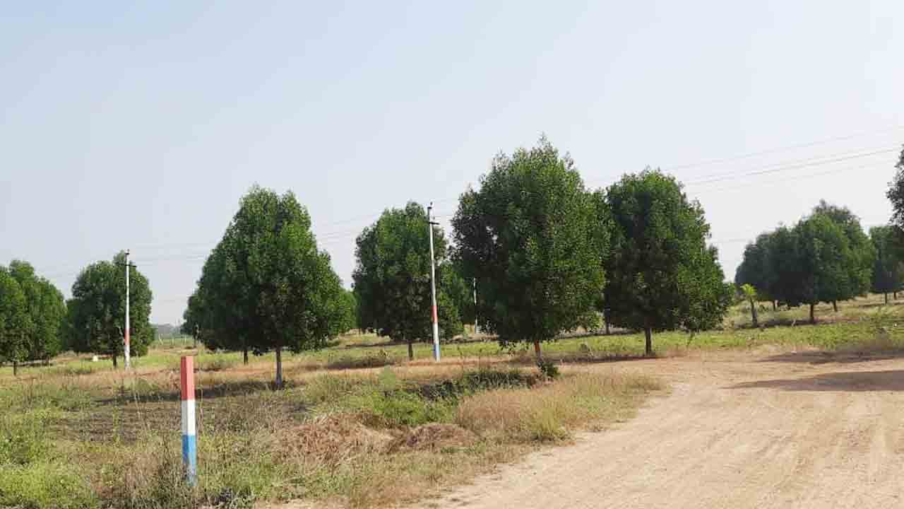 రియల్ గద్దలు