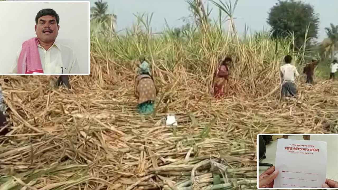 పంటను తగలబెడుతున్నా.. చూద్దురు రండి