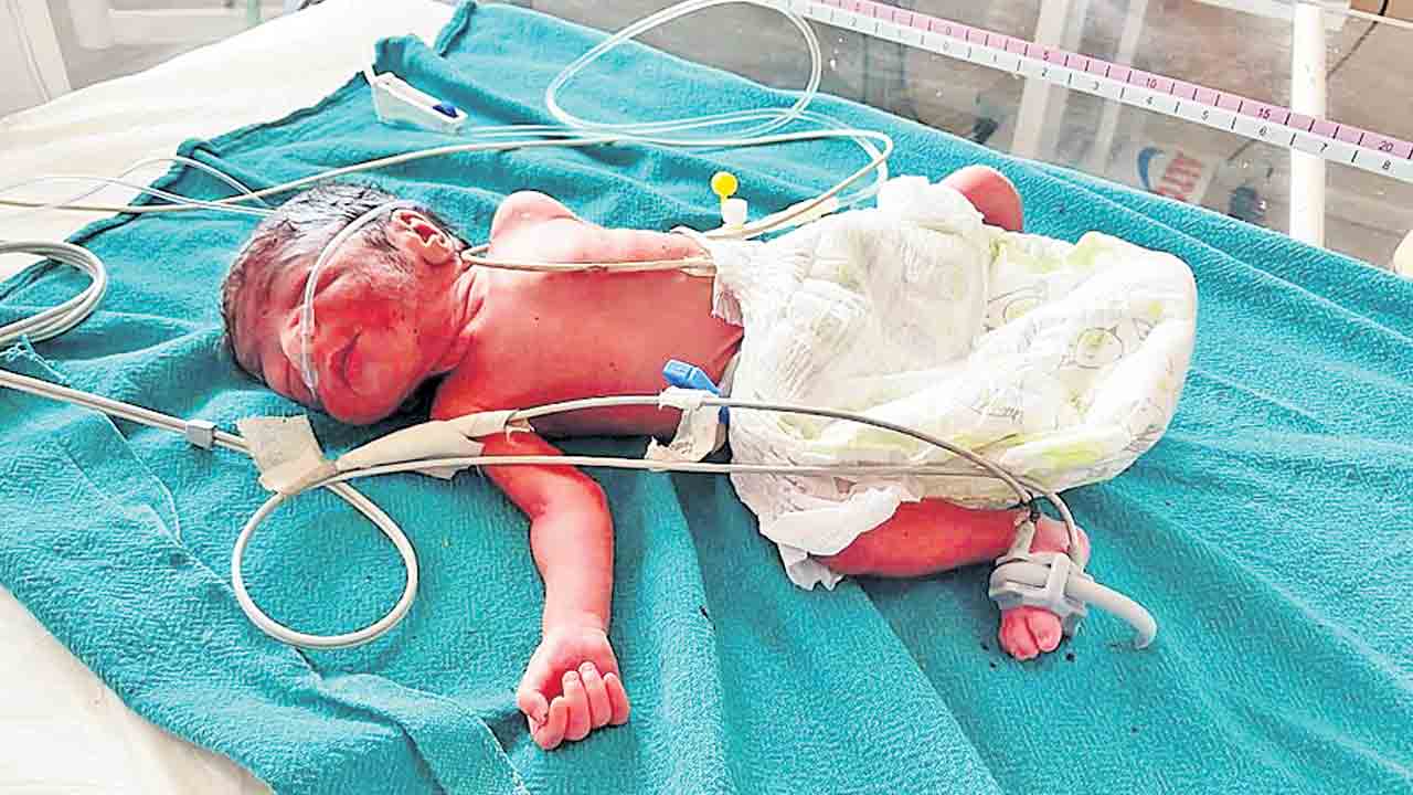 అయ్యో పాపం