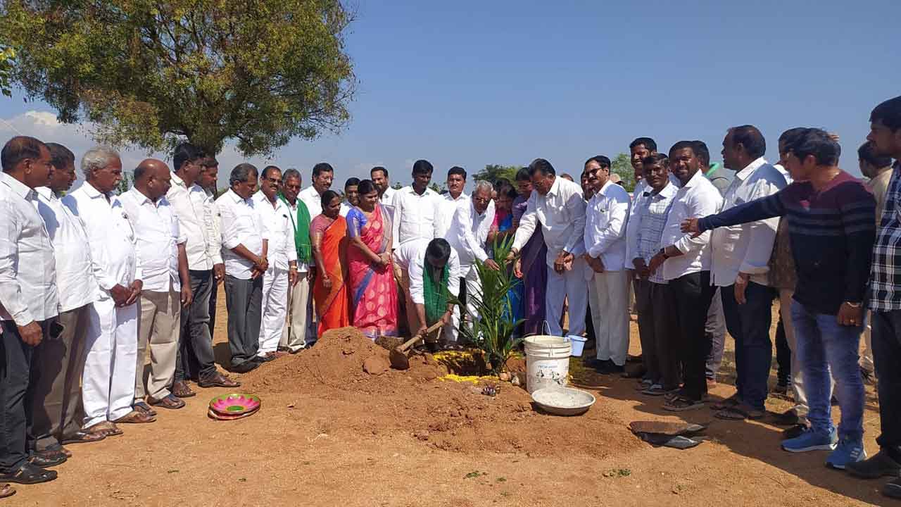 ఆయిల్‌పామ్‌ సాగుతో ఆర్థికాభివృద్ధి