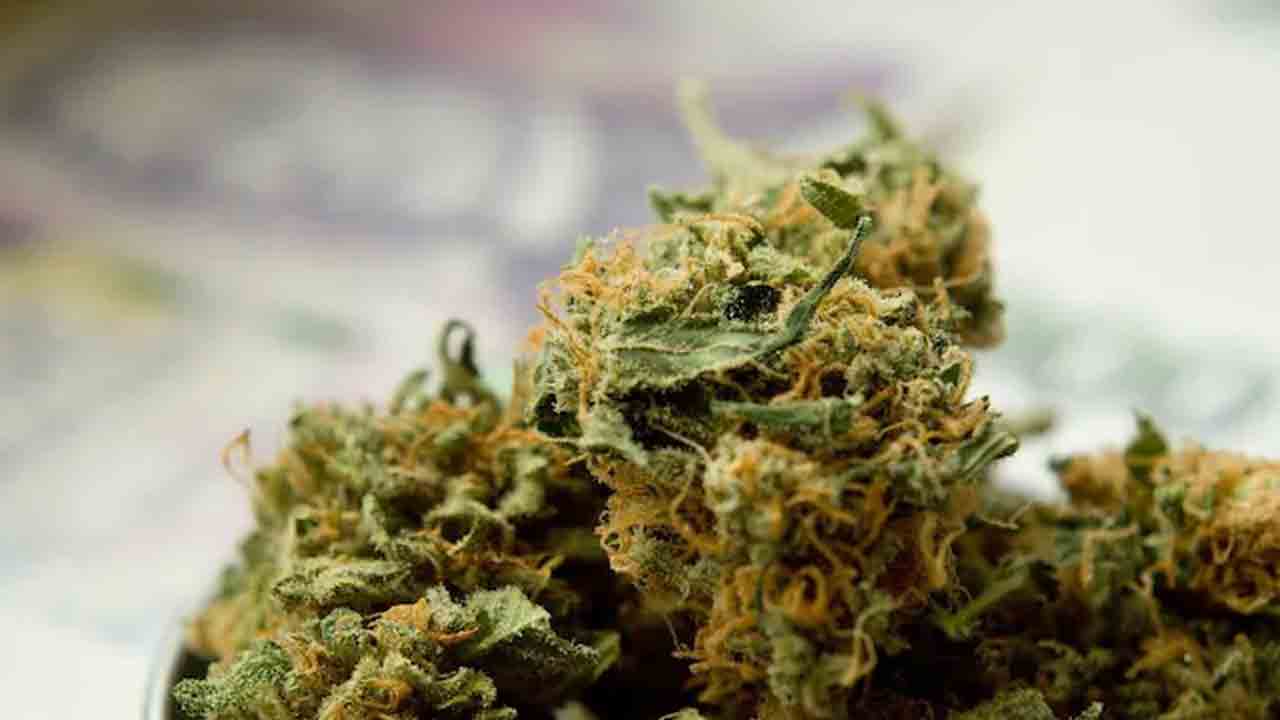 గంజాయి విక్రయదారులు అరెస్టు