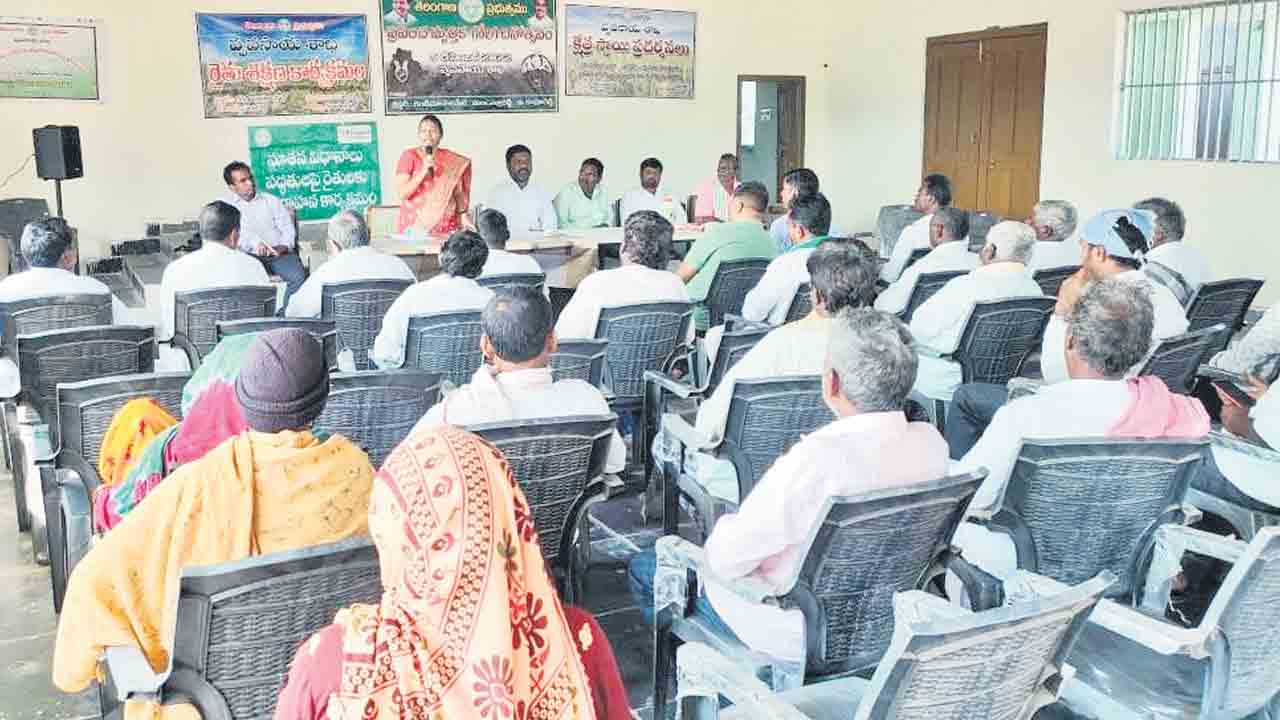 రసాయన ఎరువుల వాడకం తగ్గించాలి