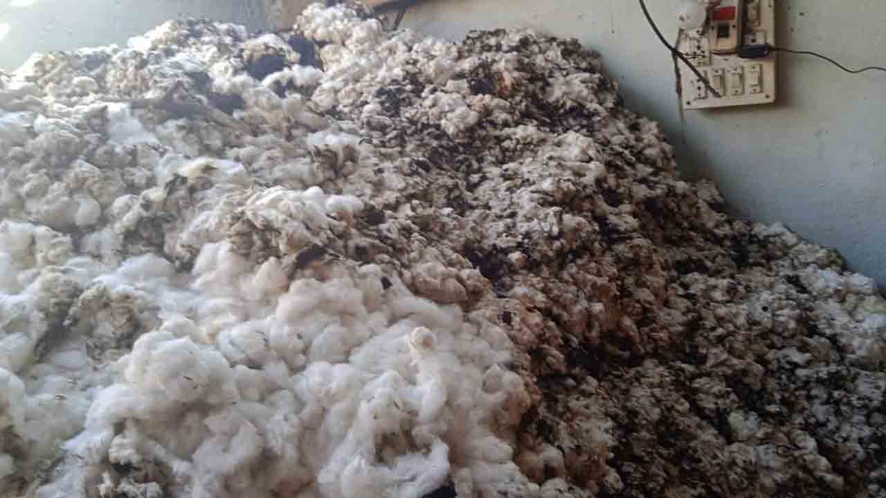 షార్ట్‌సర్క్యూట్‌తో పత్తి దగ్ధం