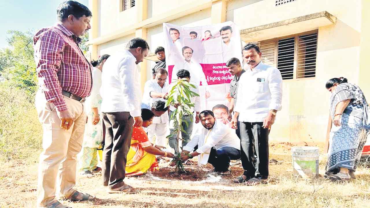 భవిష్యత్‌ తరాల కోసం మొక్కలు నాటాలి