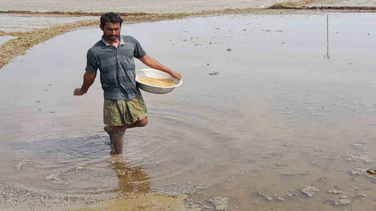 వెదజల్లే పద్ధతిపై ఆసక్తి