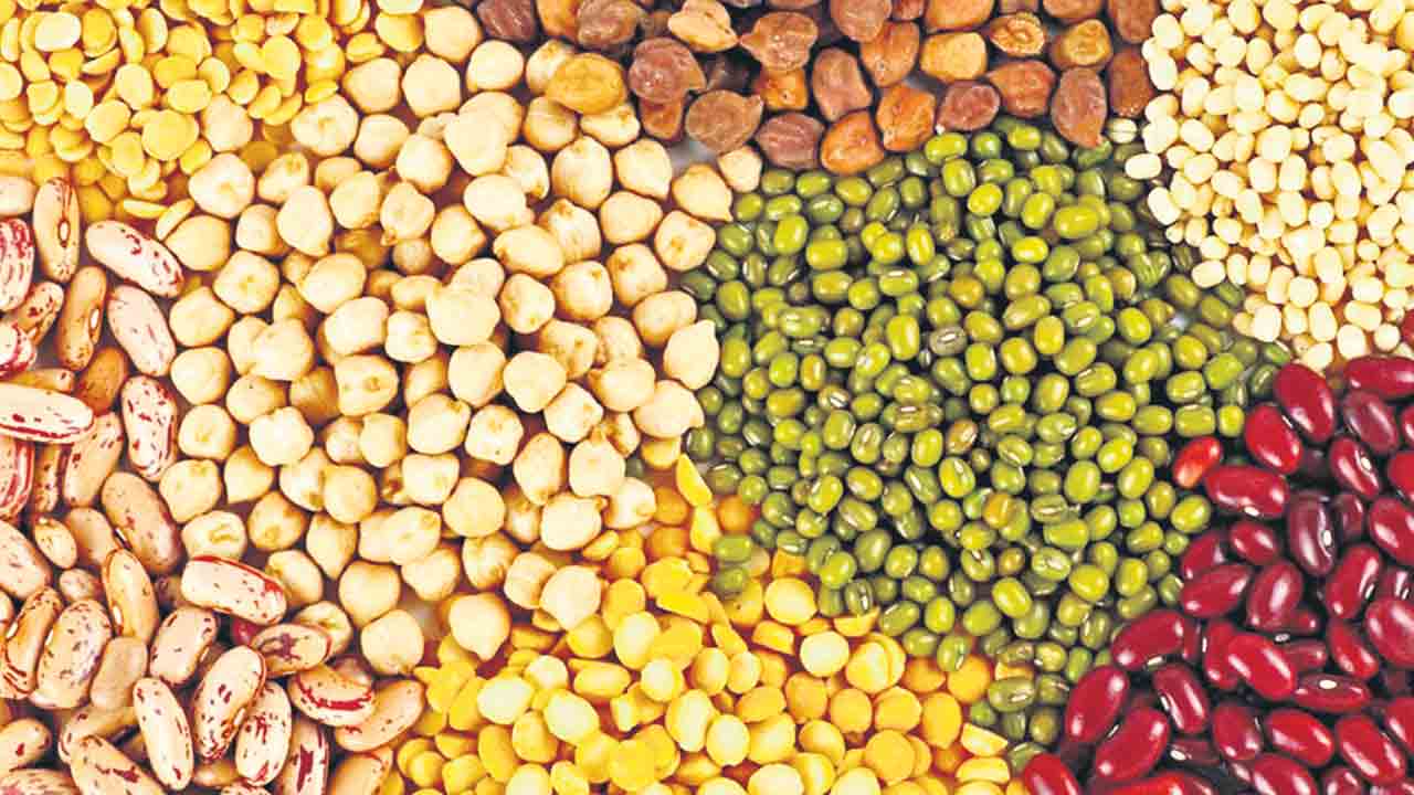 పోషకాహారంపై దేశవ్యాప్త అధ్యయనం