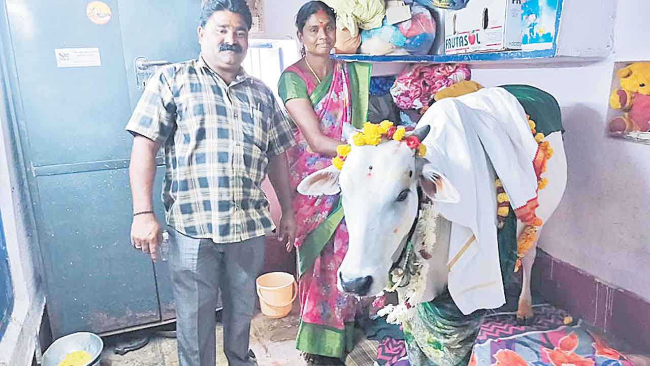 గోమాతకు సీమంతం