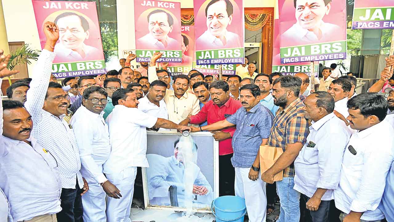 ప్యాక్స్‌ ఉద్యోగులకు హెచ్‌ఆర్‌ పాలసీ