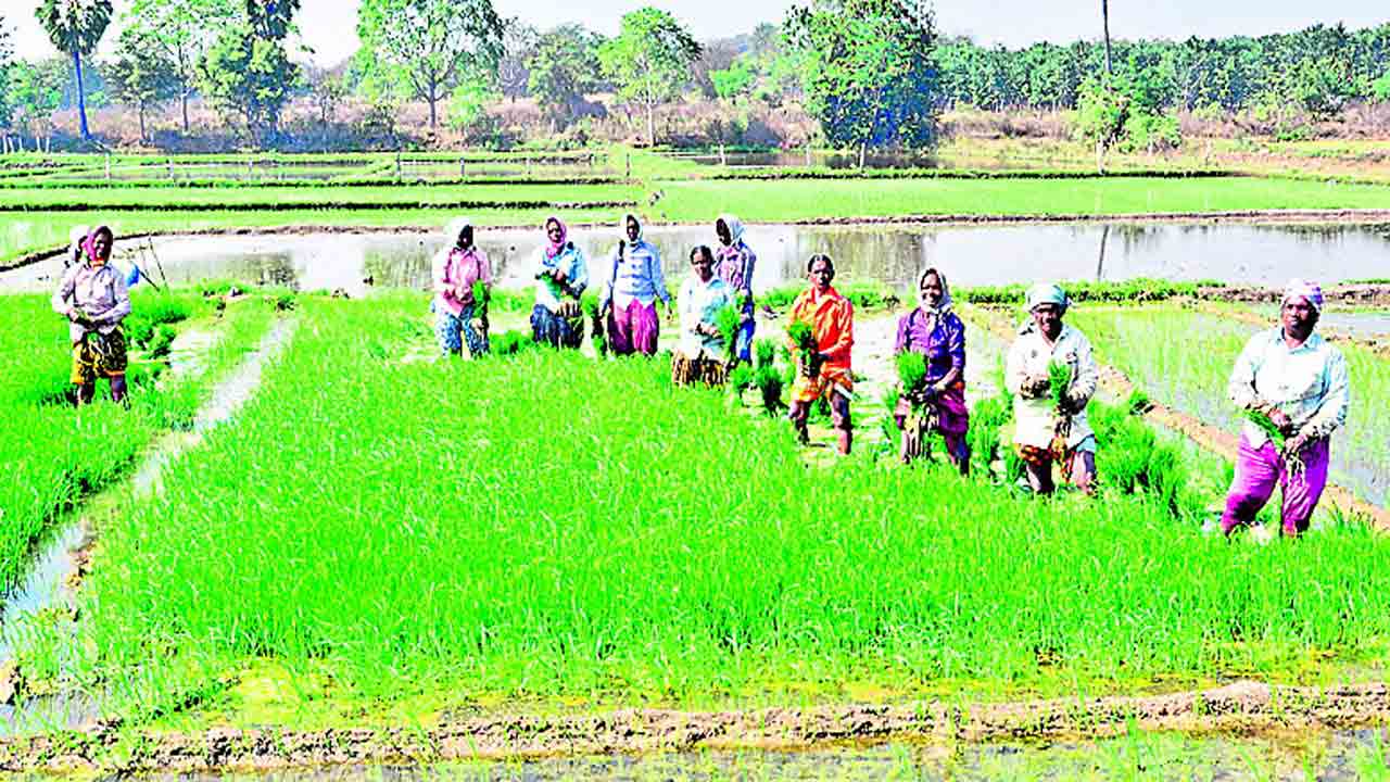 మురిసిన రైతన్న .. తొలిరోజు 56,188 మందికి రైతుబంధు