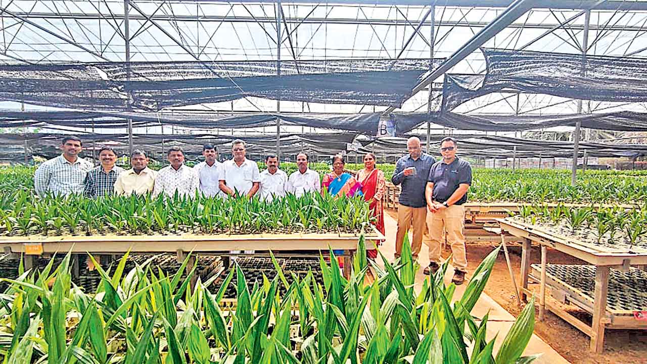 మలేషియా పర్యటనలో రాష్ట్ర ఆయిల్‌ ఫెడ్‌ బృందం