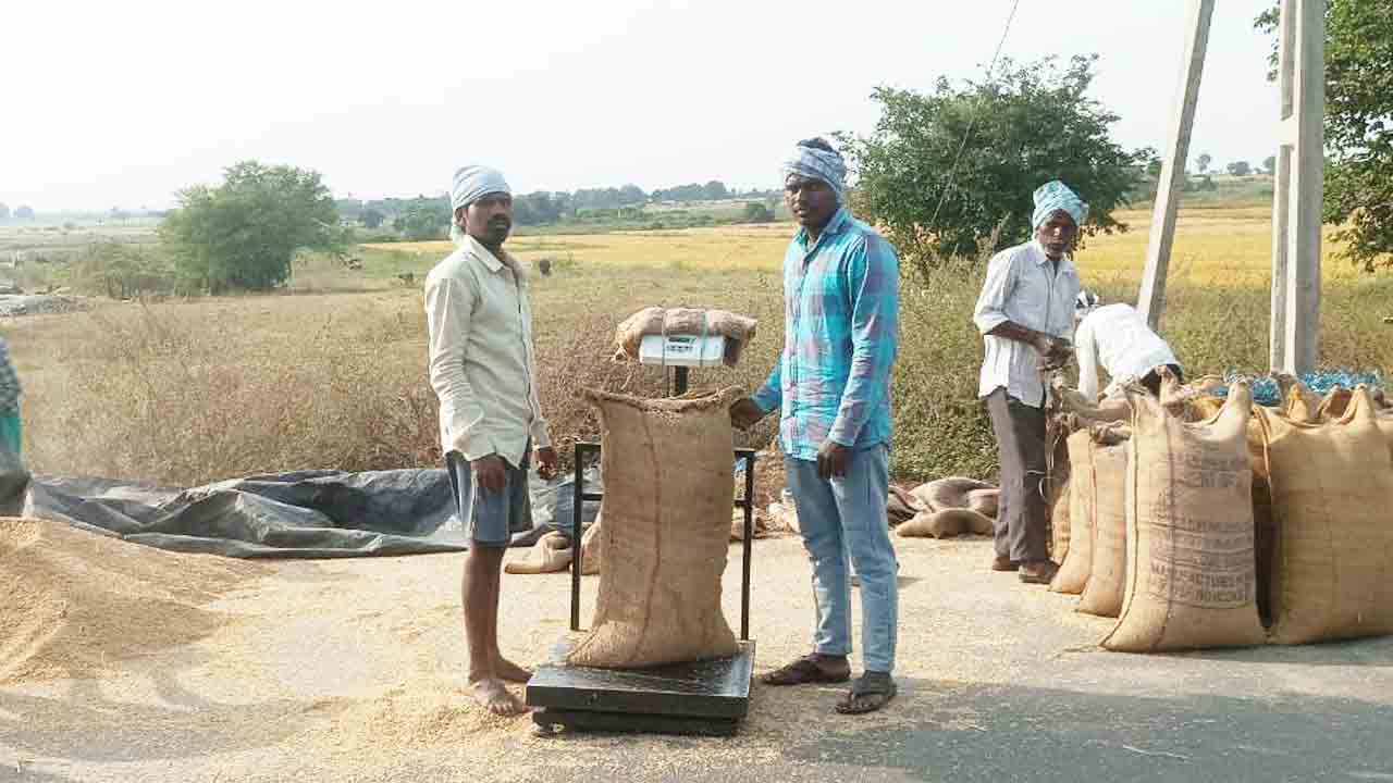 జోరుగా ధాన్యం సేకరణ