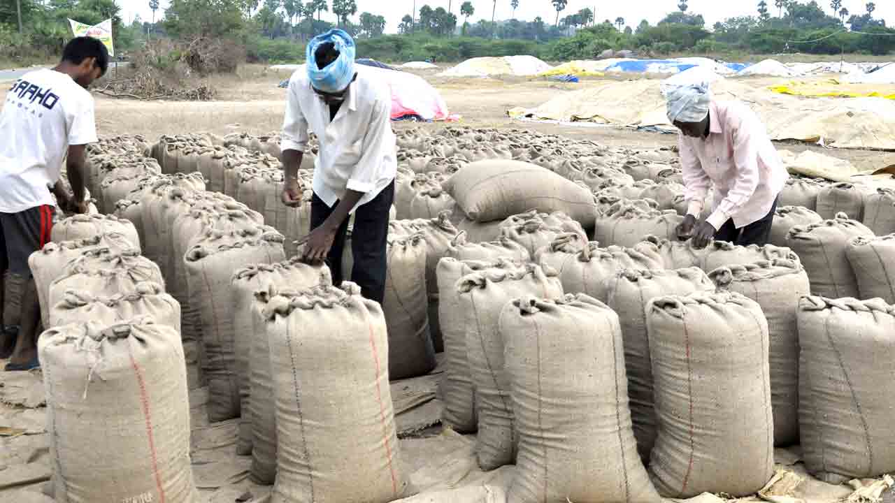 జోరుగా ధాన్యం కొనుగోళ్లు