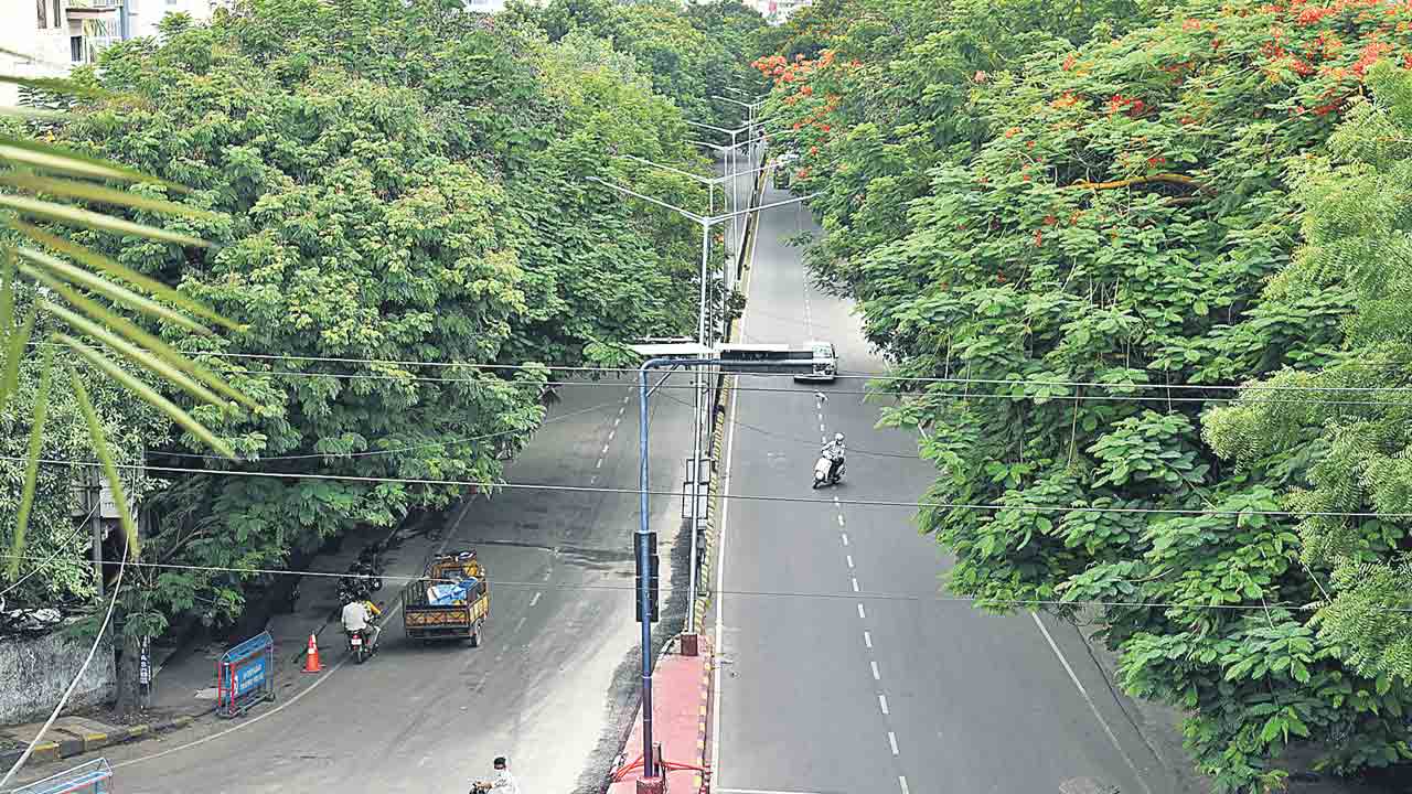 గ్రీన్‌ సిటీలో హైదరాబాదే అగ్రస్థానం