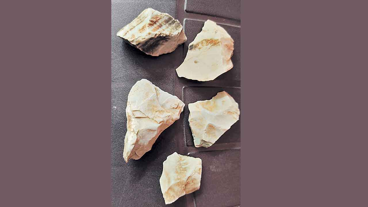 జఫర్‌గఢ్‌లో బౌద్ధ స్తూపం