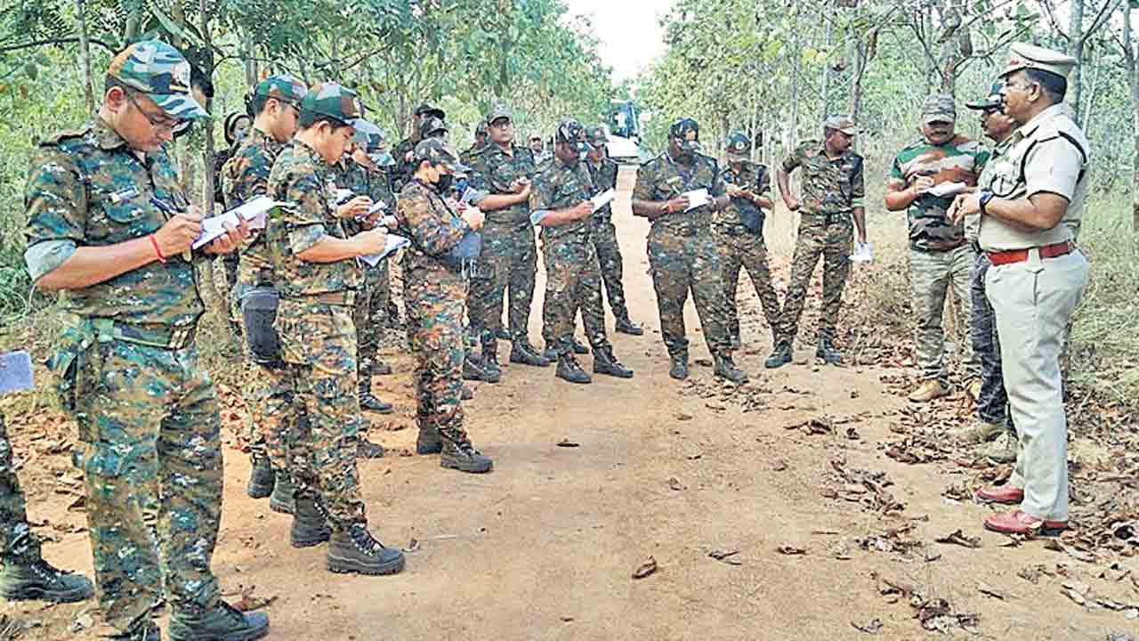 అడవిని చూసి చాలా నేర్చుకున్నాం..