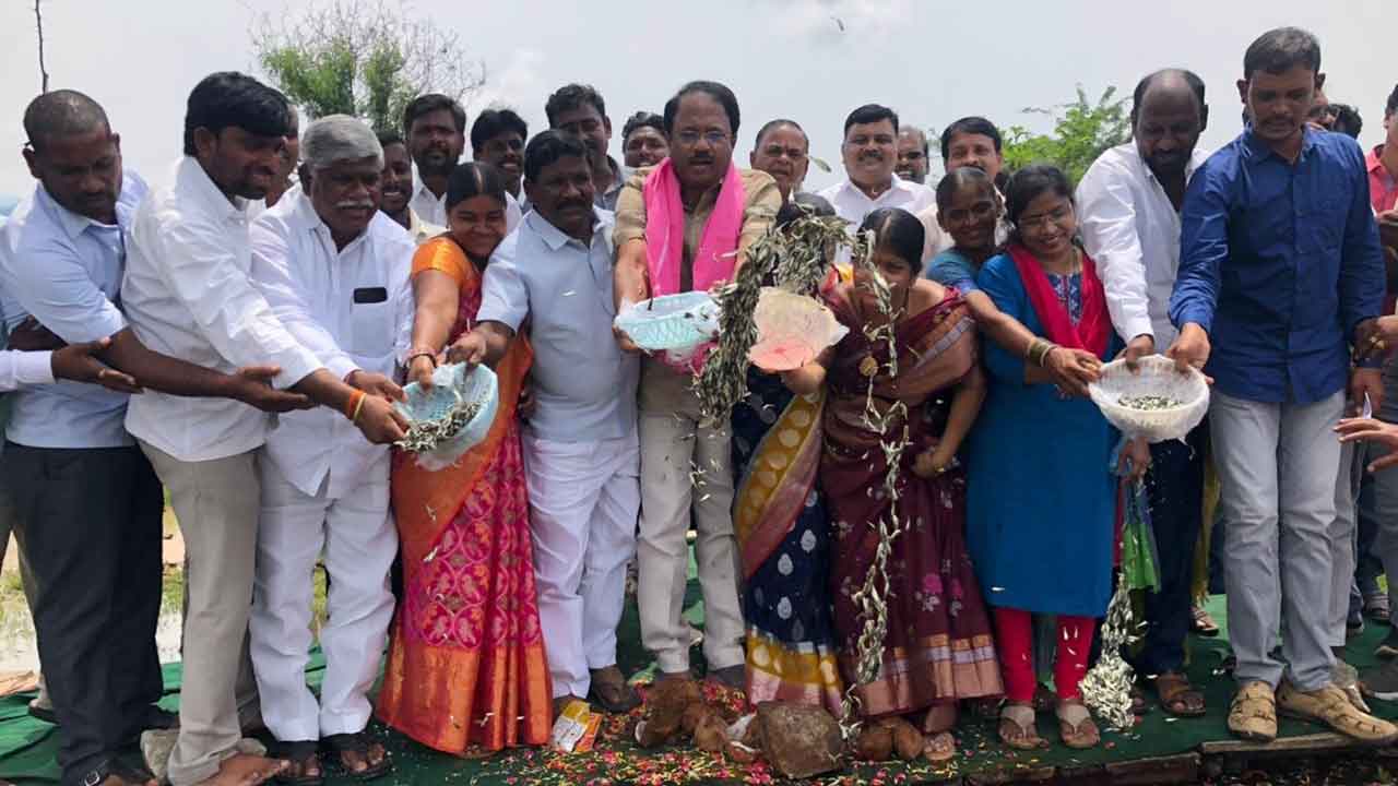 మత్స్యకారుల కుటుంబాల్లో వెలుగులు