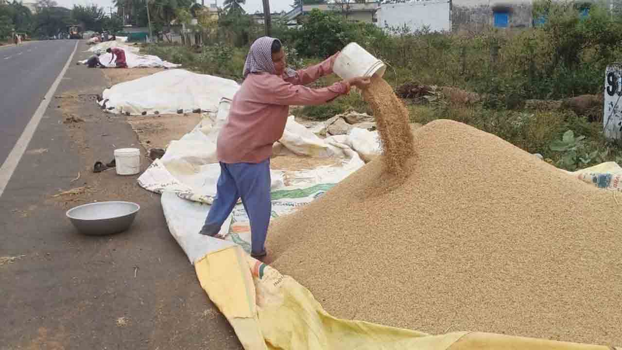 వాతావరణం మార్పులతో రైతులు అప్రమత్తం