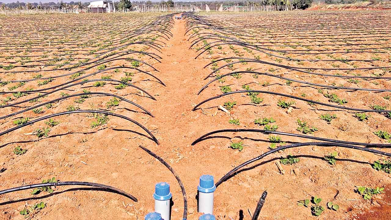 డ్రిప్‌ రైతును కనికరించని కేంద్రం