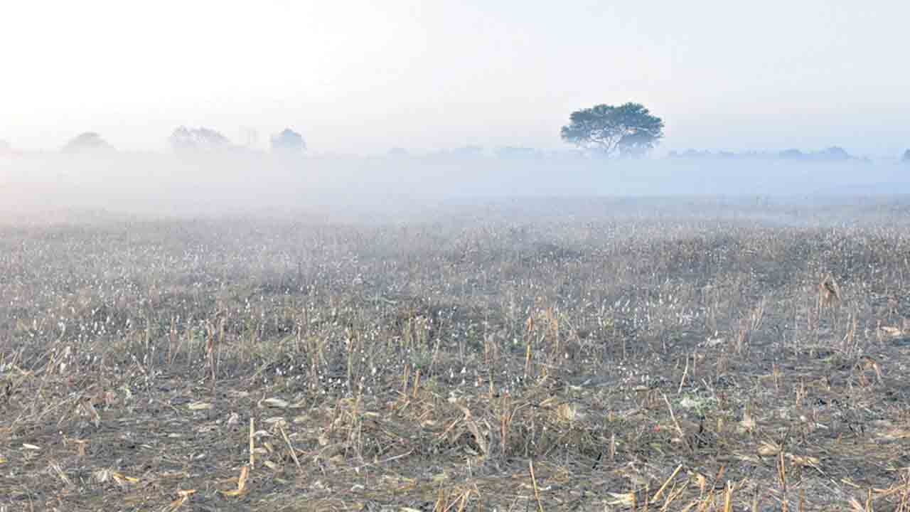 కమ్ముకున్న పొగ మంచు